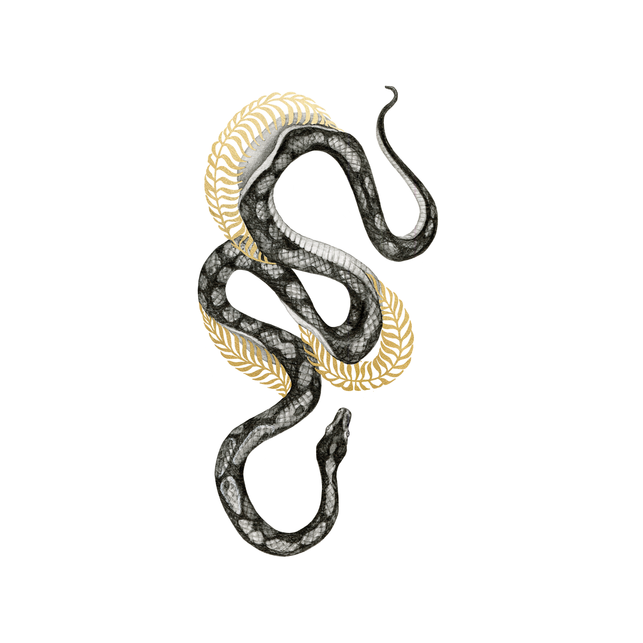 Shimmering Serpent by Christina Mrozik from Tattly Temporary Tattoos – Tattly Temporary Tattoos & Stickers
